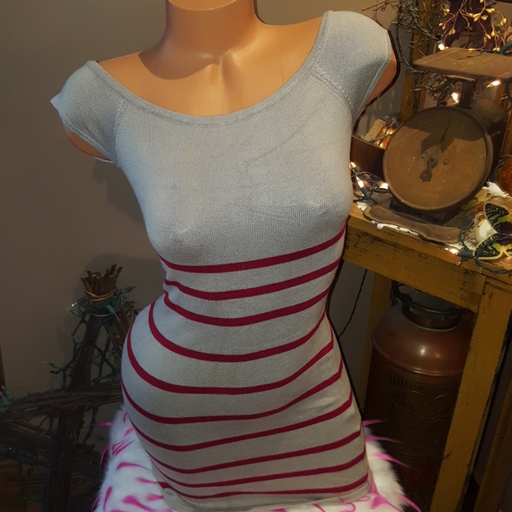 bebe Gray Mini Dress with Pink Stripes